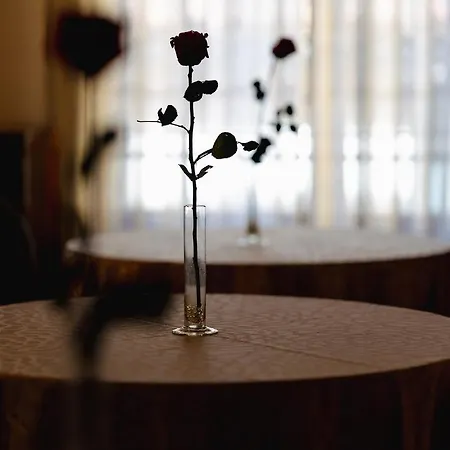 Maison Dotti *